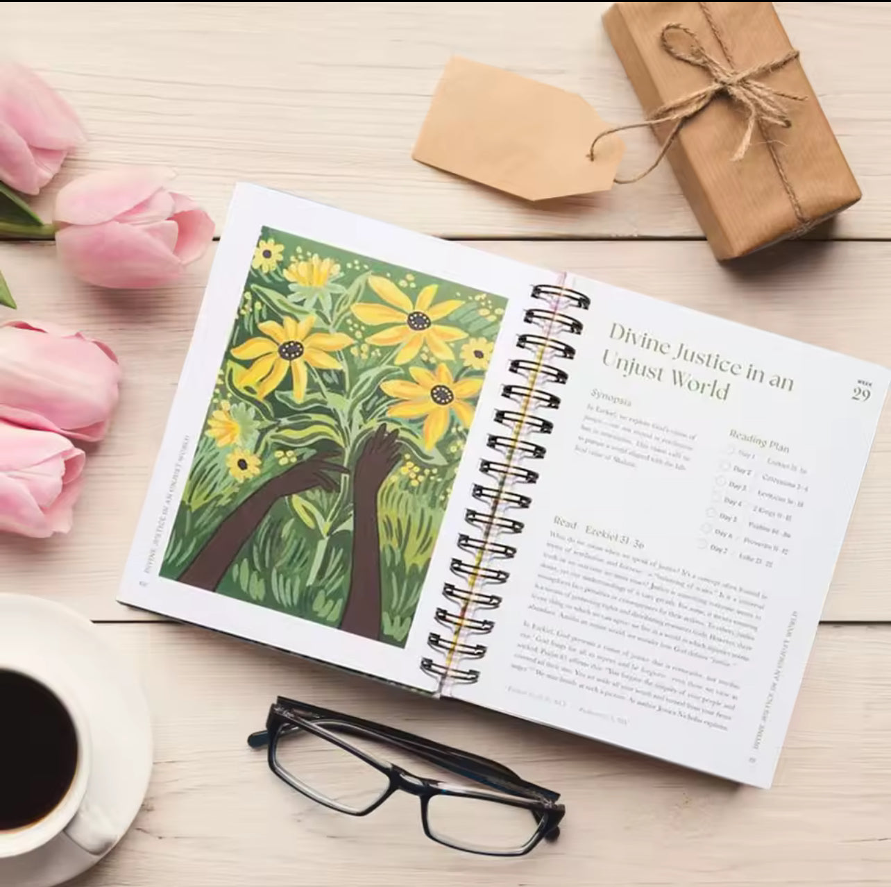 Year in the Bible - Thegiftboxcollection