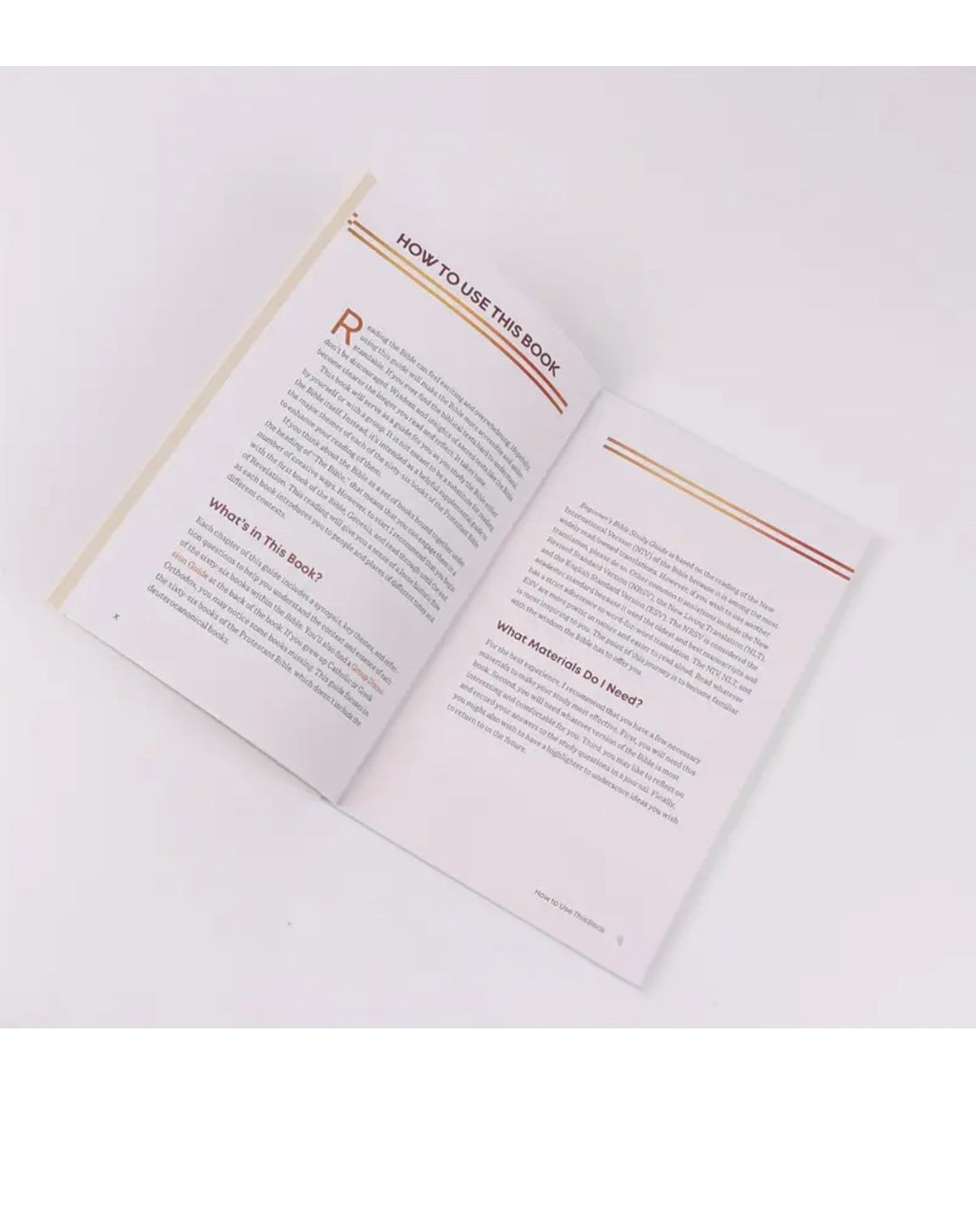 Bible study guide for beginners
