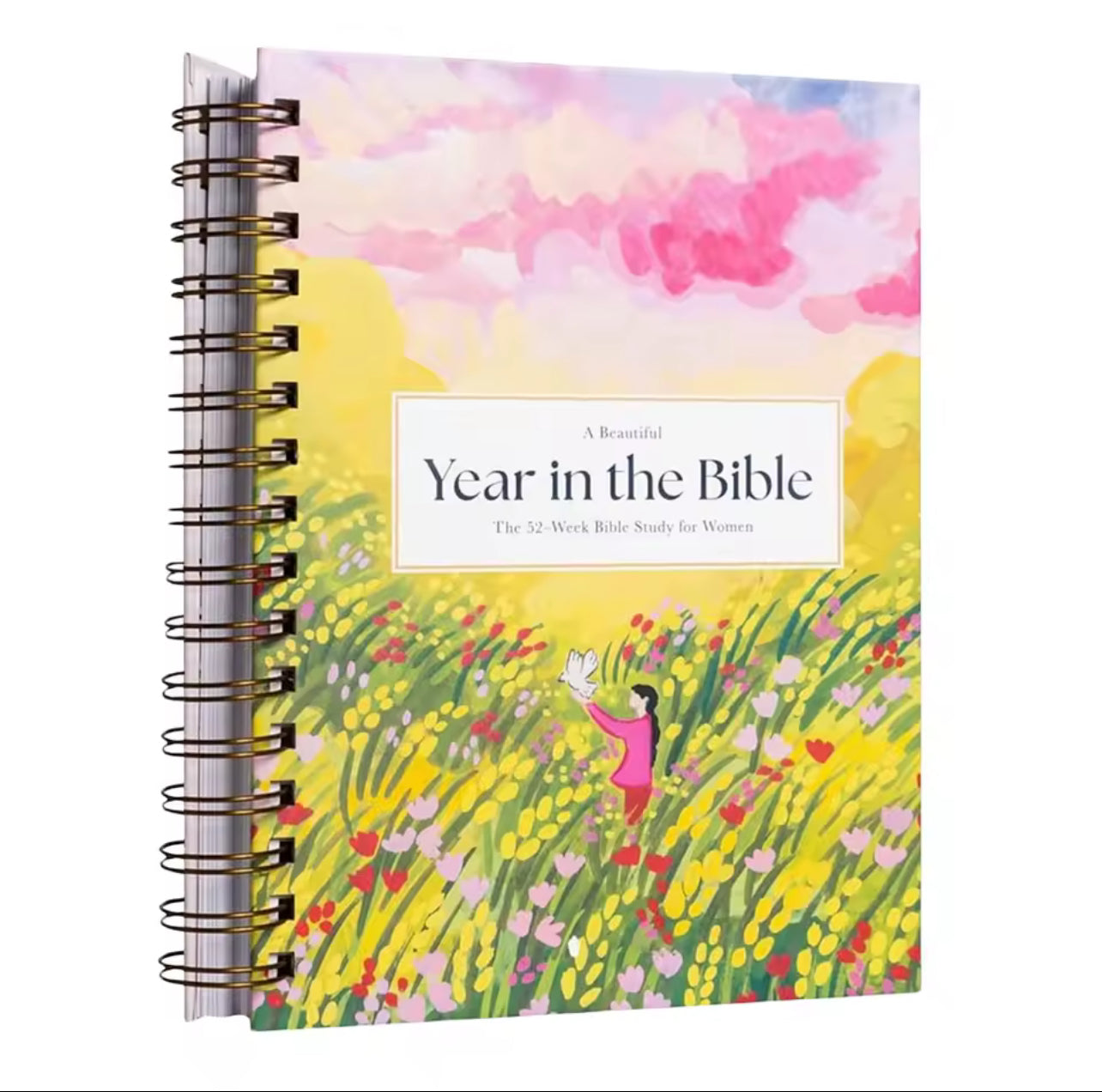 Year in the Bible