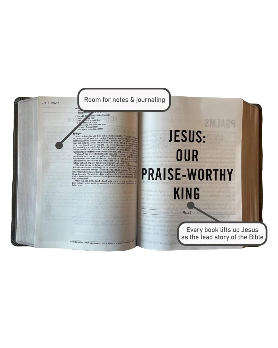 The Jesus Bible(multi-colour/teal)ESV - Thegiftboxcollection
