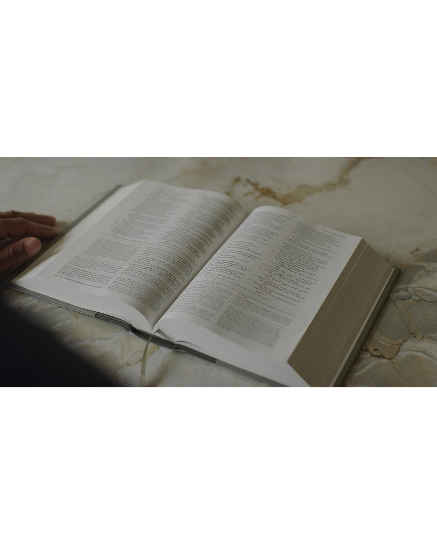 Mens study Bible(ESV)