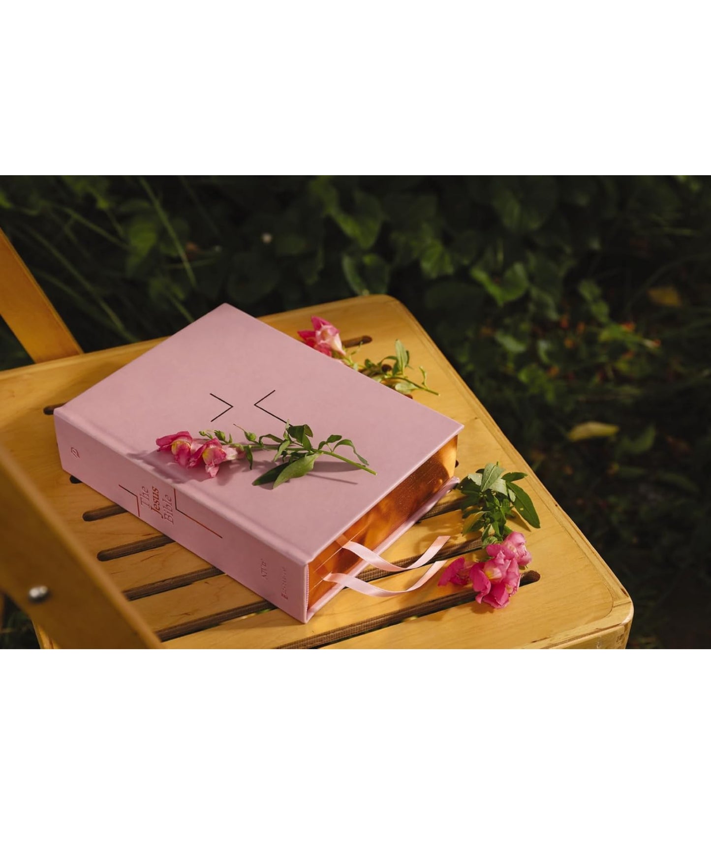The Jesus Bible(leather soft overboard pink)NIV - Thegiftboxcollection