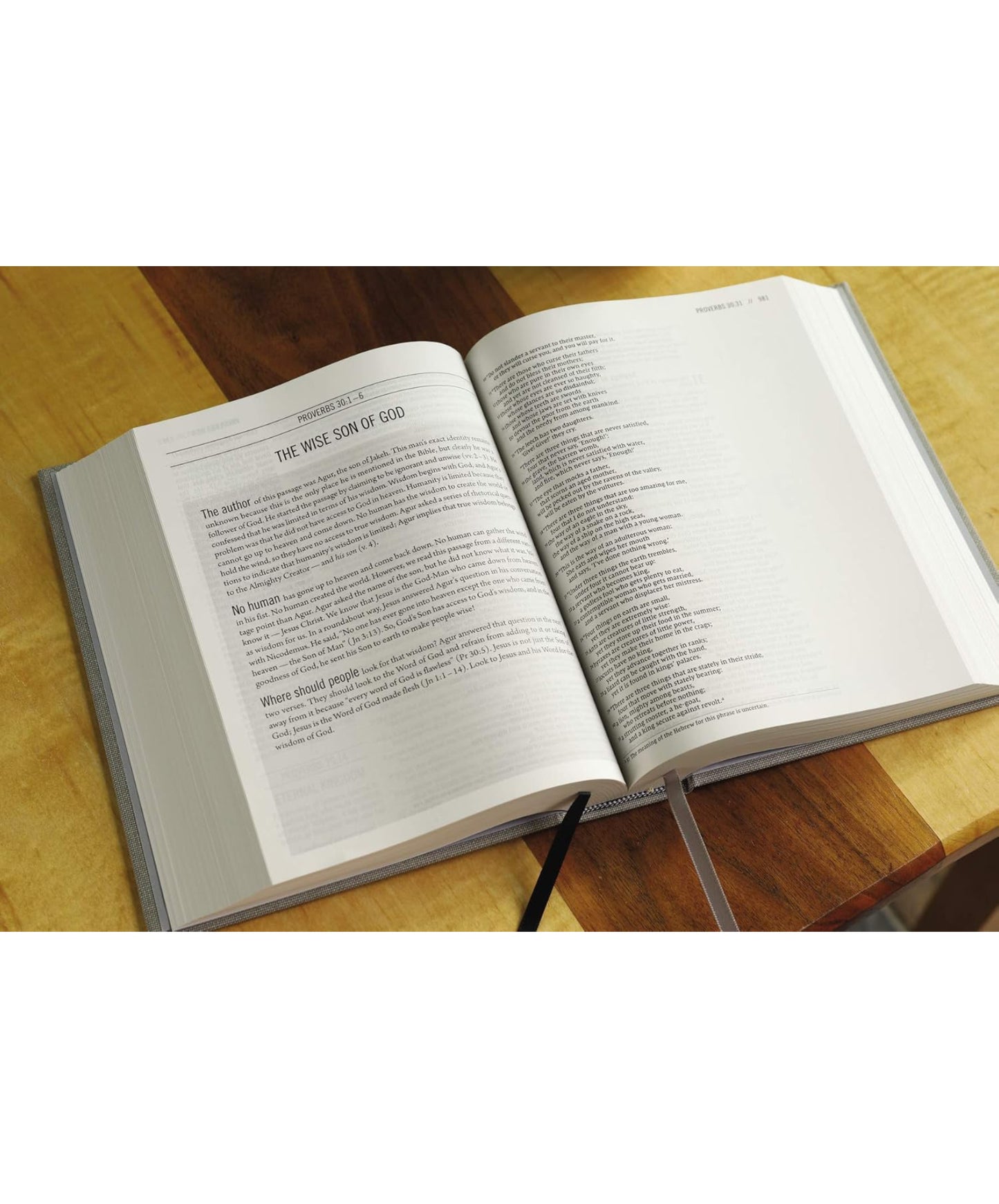 The Jesus Bible grey (cloth overboard grey linen)NIV - Thegiftboxcollection