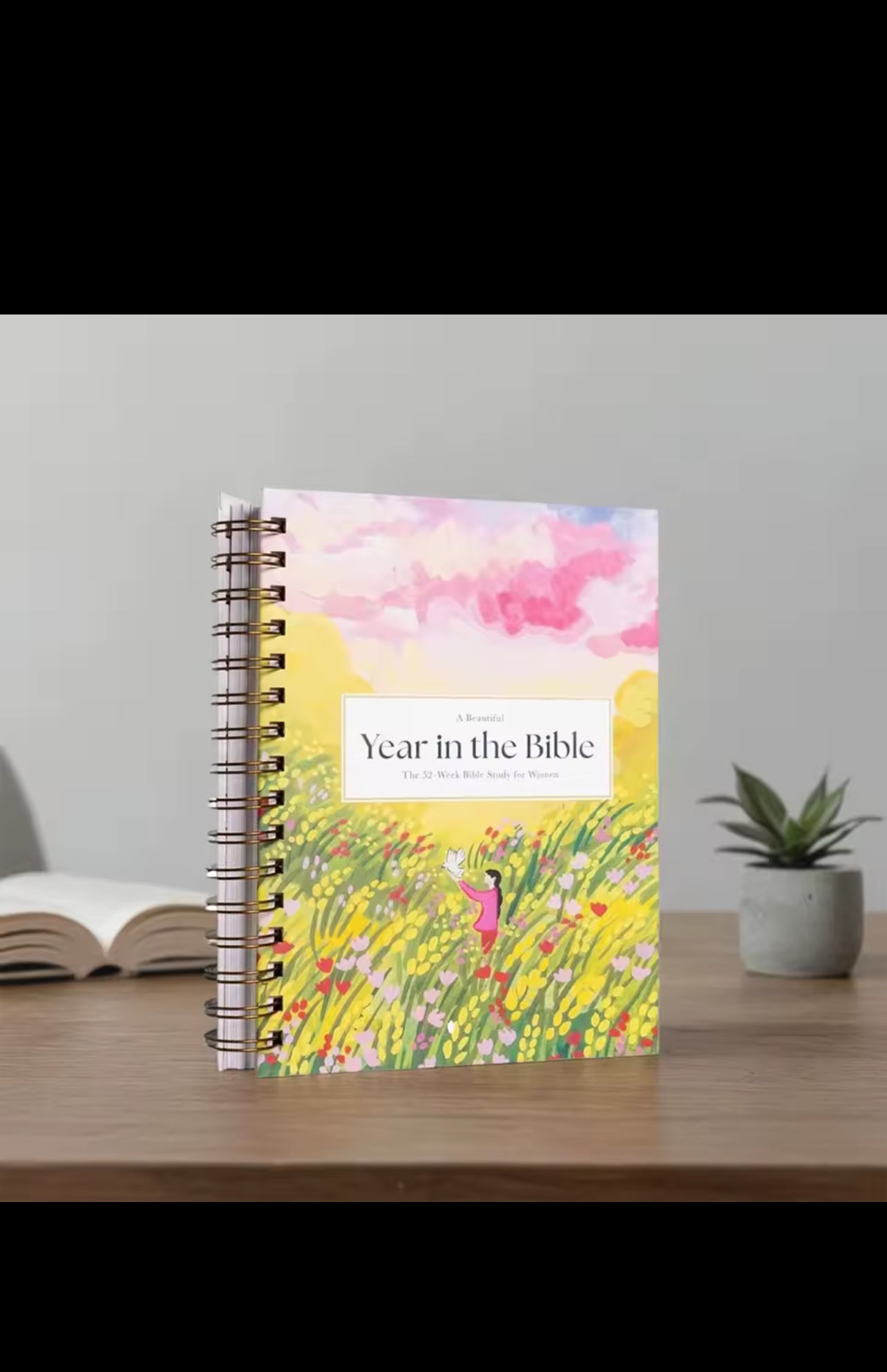Year in the Bible