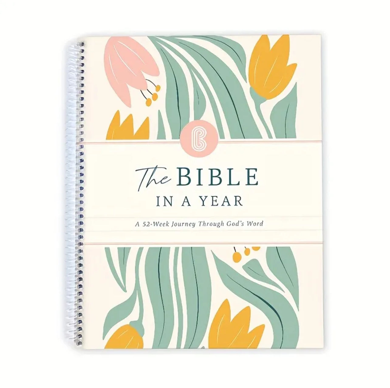 The Bible in a year(A4) - Thegiftboxcollection