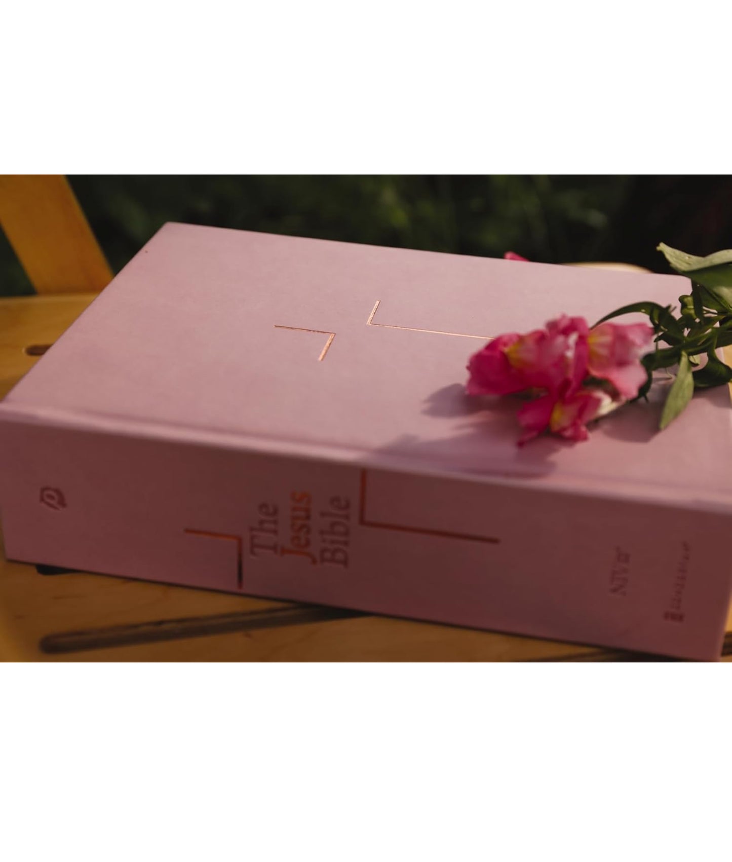The Jesus Bible(leather soft overboard pink)NIV - Thegiftboxcollection
