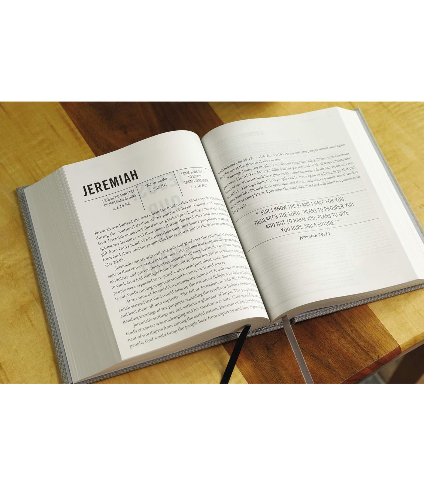 The Jesus Bible(cloth overboard grey linen)NIV - Thegiftboxcollection