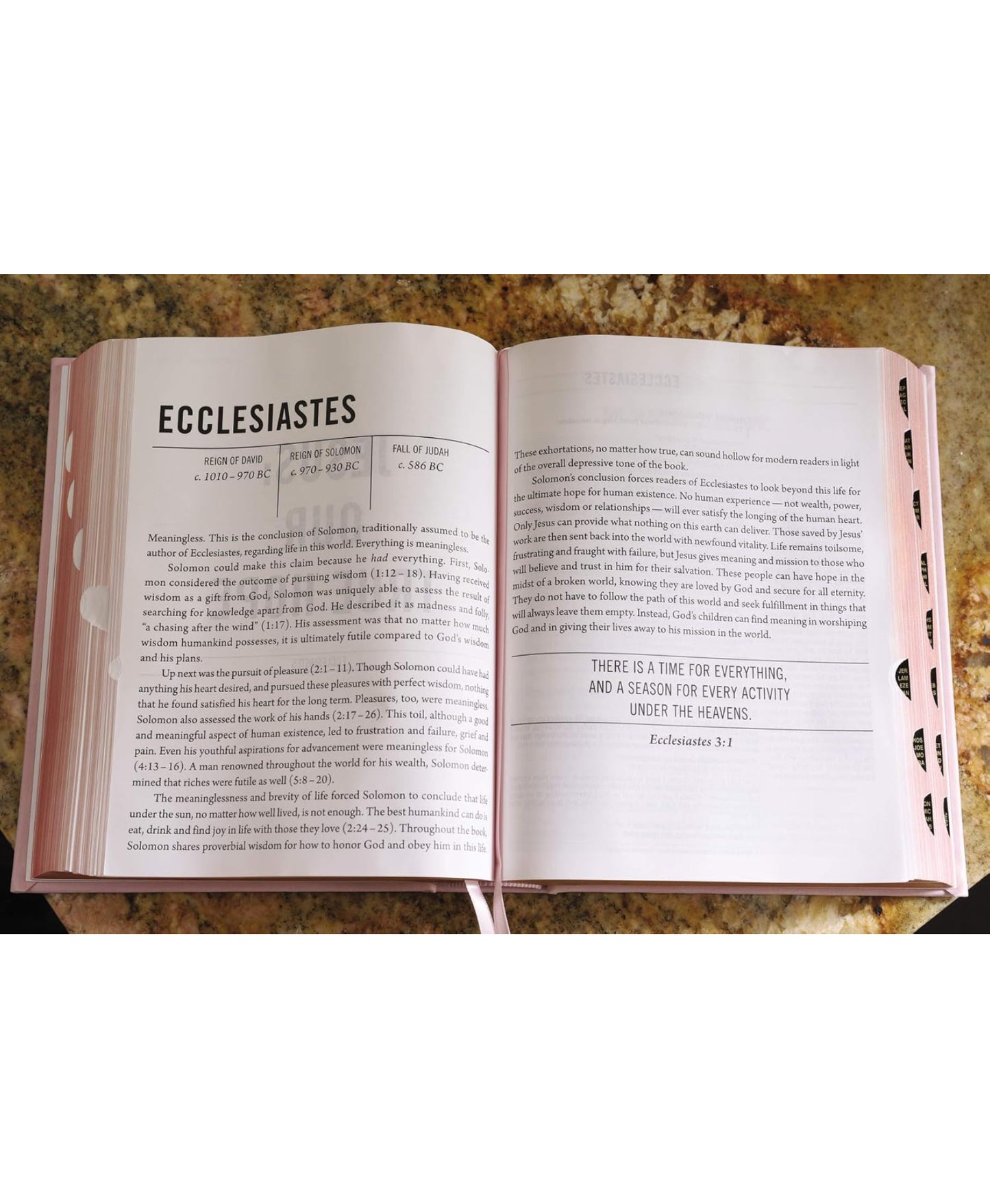 The Jesus Bible(leather soft overboard pink)NIV - Thegiftboxcollection