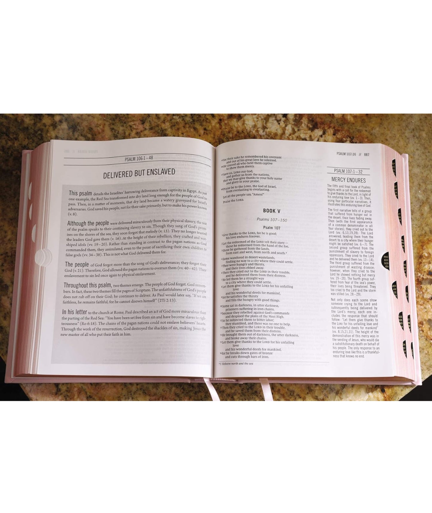 The Jesus Bible(leather soft overboard pink)NIV - Thegiftboxcollection