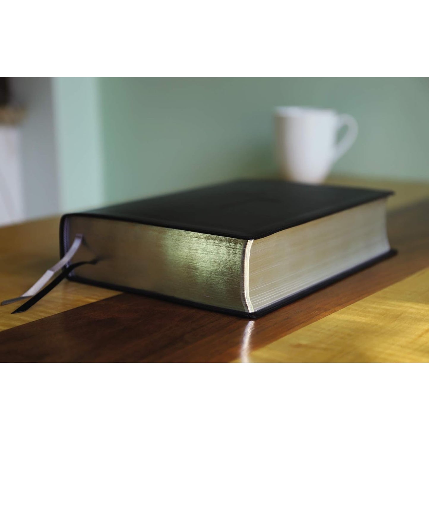 The Jesus Bible(black)ESV - Thegiftboxcollection