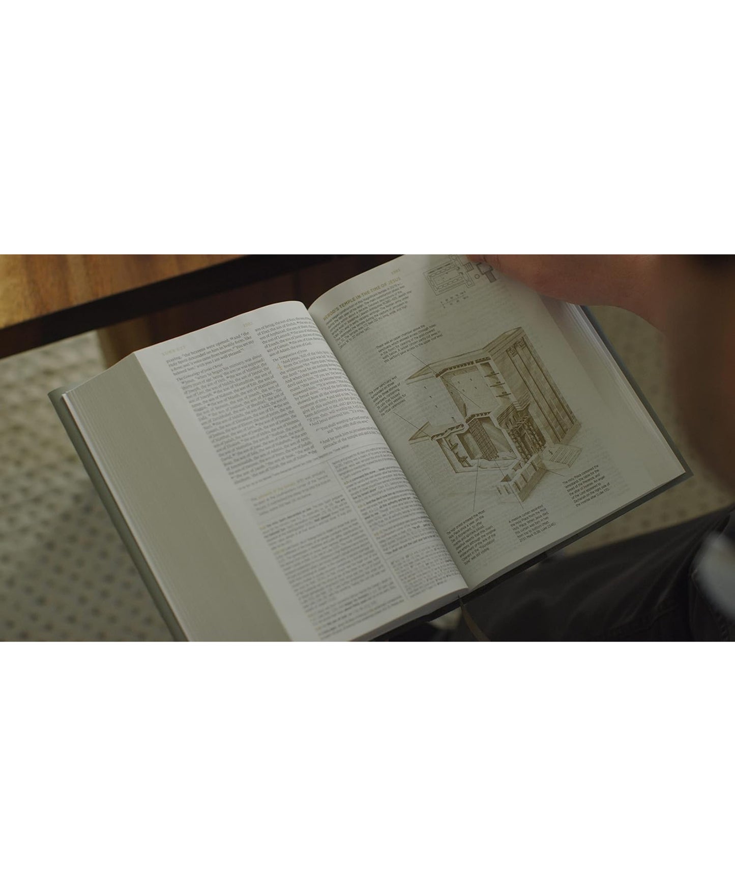 Mens study Bible(ESV)