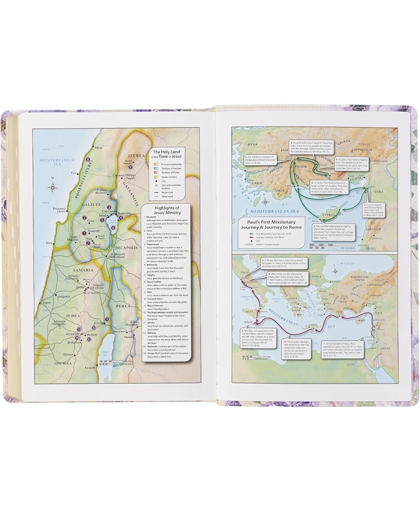 Floral Holy Bible with Gold accent Bible tabs(KJV)