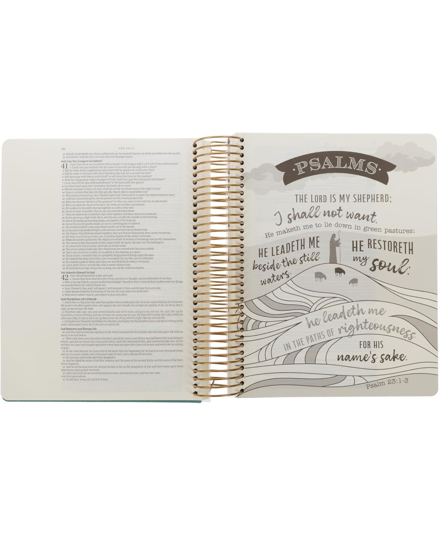 KJV Holy Bible, My Creative Bible - Illustrators Edition, King James Version, Journaling Space, Spiral Bound Hardcover Debossed Vegan Leather, Teal Blue