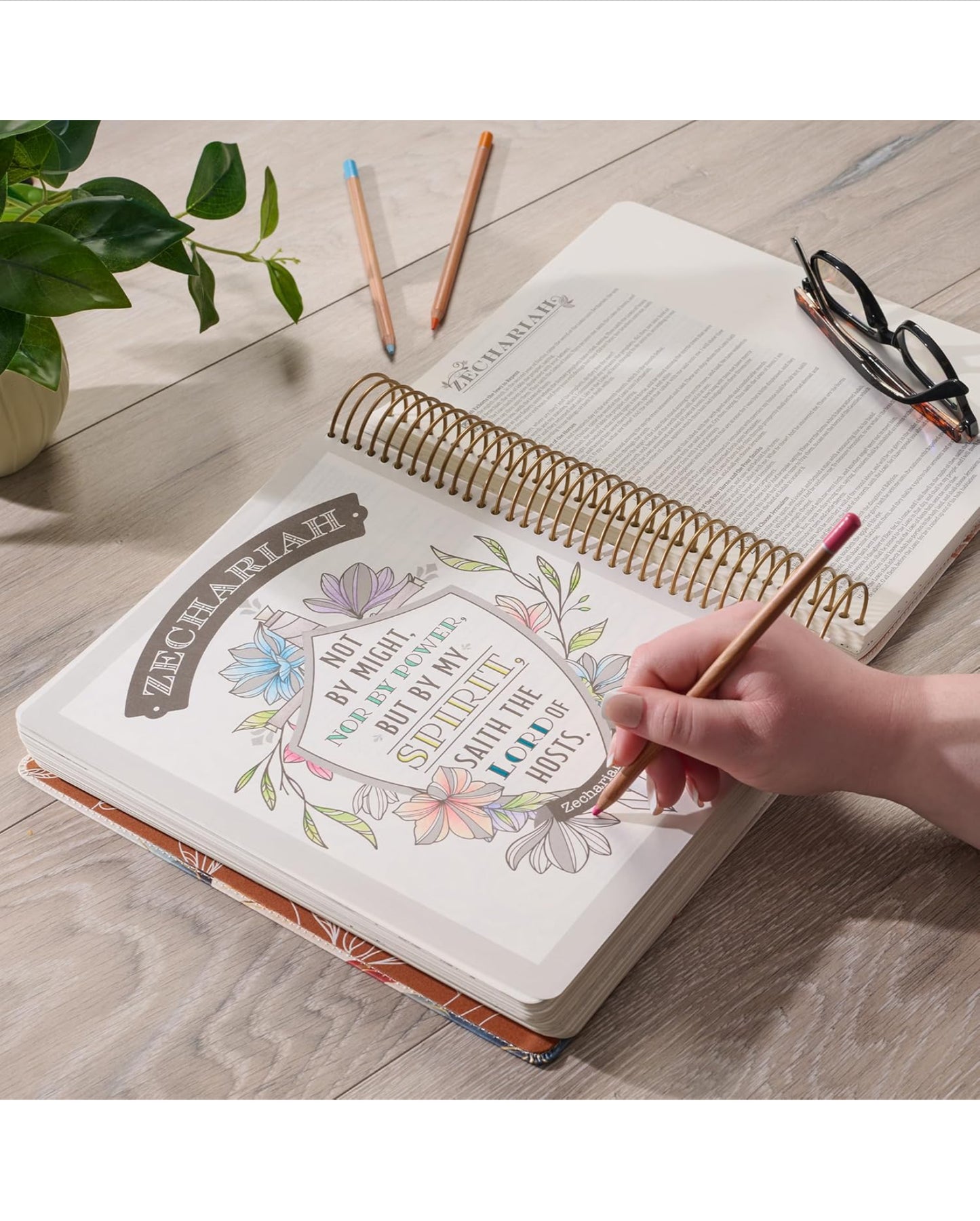 KJV Holy Bible, My Creative Bible - Illustrators Edition, Journal Space, Vegan Leather Flexcover, King James Version, Cream Floral Print