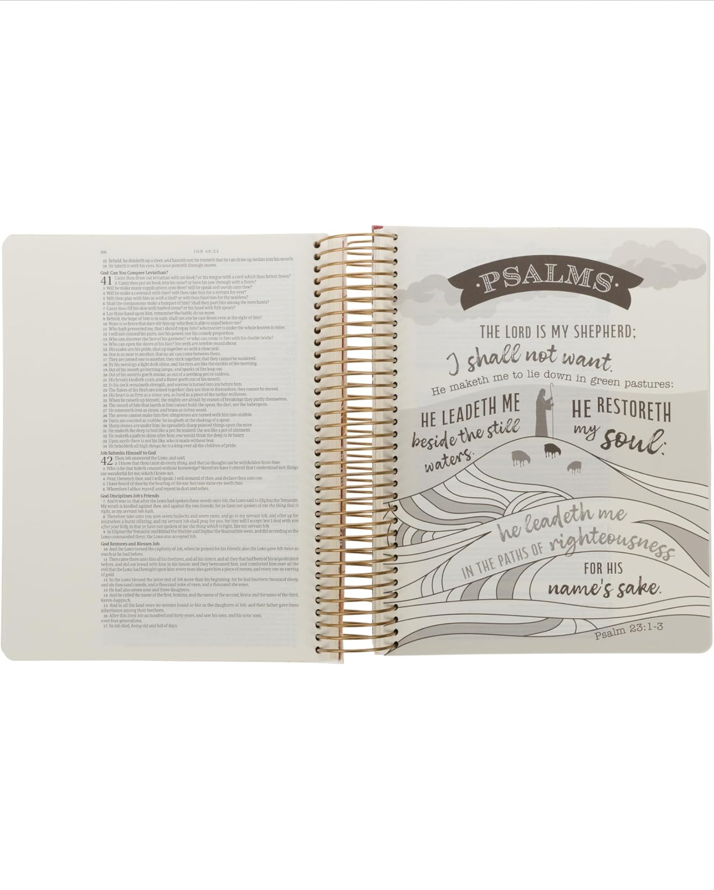 KJV Holy Bible, My Creative Bible - Illustrators Edition, Journal Space, Vegan Leather Flexcover, King James Version, Cream Floral Print