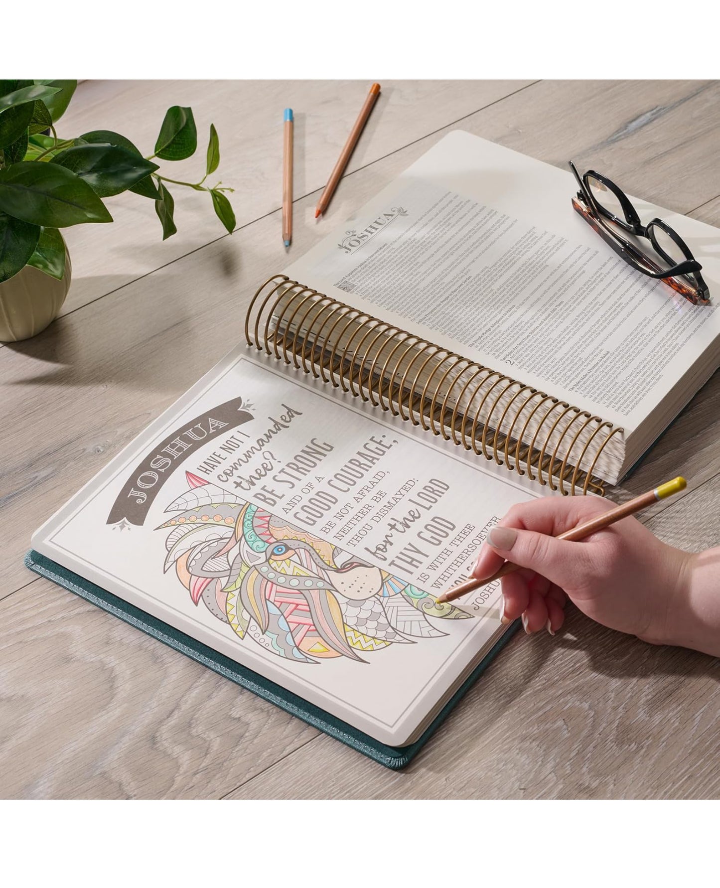 KJV Holy Bible, My Creative Bible - Illustrators Edition, King James Version, Journaling Space, Spiral Bound Hardcover Debossed Vegan Leather, Teal Blue